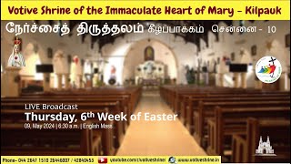 Votive Shrine Daily Mass  Live Stream  May 09 2024 Thursday 630 am  Tamil Mass [upl. by Maunsell]