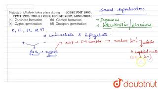 Meiosis in Ulothrix takes place during  11  PLANT KINGDOM  BIOLOGY  ERRORLESS  Doubtnut [upl. by Cherida869]