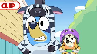 Bluey Season 3 Episode 31 quotOnesiesquot Episode Clip  disneyjr  BlueyOfficialChannel​ [upl. by Aubry476]