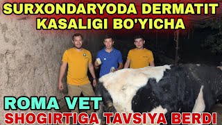 DERMATIT KASALIGI GUNAJINGA HAM YUQUBTI DAVOLASH BOSHLANDI [upl. by Ytram]