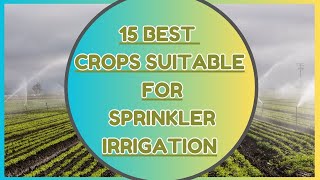 15 Best crops suitable for Sprinkler Irrigation  Sprinkler irrigation crops sprinklerirrigation [upl. by Viva]