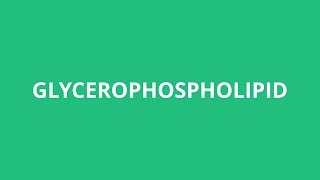 How To Pronounce Glycerophospholipid  Pronunciation Academy [upl. by Nealy]