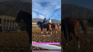 Breeders Cup 2024  Del Mar  RAC3LAND [upl. by Bresee387]