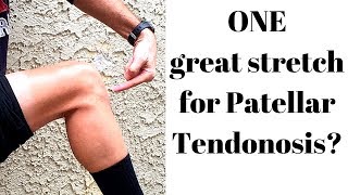 ONE perfect stretch for patellar tendonosis [upl. by Timmy]