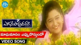 Egire Pavurama Songs  Maagha Maasam Video Song  Srikanth  Laila  JD Chakravarthy [upl. by Meekar]