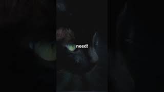 Why Cats Eyes Glow in the Dark Explained shorts cat youtubeshorts [upl. by Sadirah]