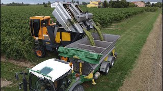 Vendemmia Prosecco 2021  Pellenc 9056 e Fendt 211p  Pellenc 4560 [upl. by Ettenil]