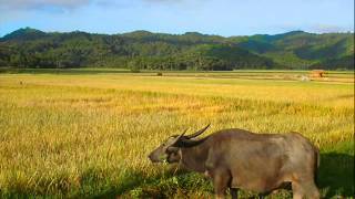 My Hometown Claveria in Cagayan Valley [upl. by Lenhart]