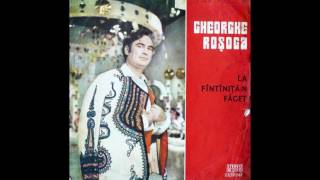 Gheorghe Rosoga  La Fintinitan Faget album [upl. by Feerahs]