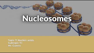 QUESTION SOLVED Nucleosome structure and functions  IB Biology Topic 7 [upl. by Ahseinaj]