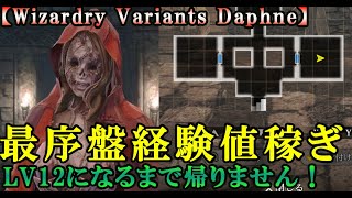 【ウィザードリィダフネWizardryVariantsDaphne】最序盤経験値稼ぎ＆派遣用新キャラ経験値稼ぎはここで決まり！【動画を見ながらのんびりやろう】 [upl. by Stillmann711]