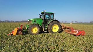 Startschuss 2022 Landwirtschaft  Zwischenfrucht mulchenJohn Deere 6250R mit Dücker MulchKombi [upl. by Kcirdehs225]