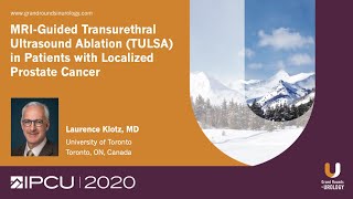 MRIGuided Transurethral Ultrasound Ablation TULSA in Patients with Localized Prostate Cancer [upl. by Arhez]