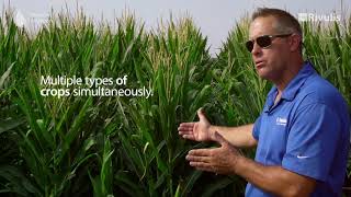 Benefits of Subsurface Drip irrigation on Corn  Rivulis USA [upl. by Rehpotsirc]