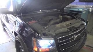 LtxTech dyno day 14 chevy tahoe [upl. by Nuaj]