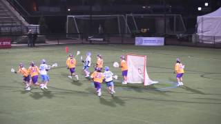 2014 Albany vs Johns Hopkins Lacrosse Highlights [upl. by Gaeta466]