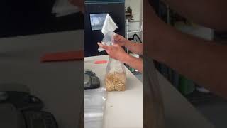 How To Properly Fold Mushroom Grow Bags [upl. by Nywde]