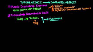 Tutumun Davranışa Etkisi Psikoloji  Davranış [upl. by Haroved782]