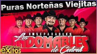 Los Indomables De Cedral  Puras Norteñas Viejitas Para Pistear [upl. by Kcire]