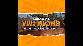 Musa Keys  Vula Mlomo Feat Sir Trill amp Nobantu Vilakazi Official Audio [upl. by Eenar]