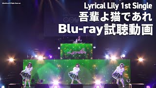 【Bluray試聴動画】Lyrical Lily 1st Single「吾輩よ猫であれ」LIVE映像 [upl. by Anaihk889]