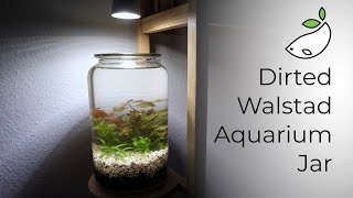 How To  Dirted Walstad Aquarium Jar [upl. by Reppart95]