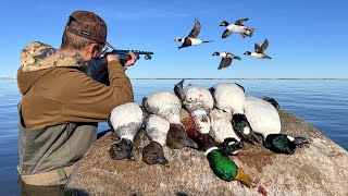 Diver Duck Hunting a Public Offshore Island for Rare Birds [upl. by Berfield]