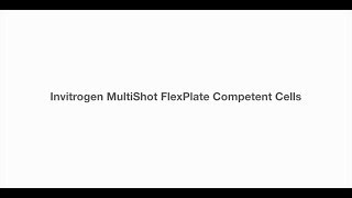 Invitrogen MultiShot FlexPlate chemically competent E coli product overview [upl. by Filahk506]