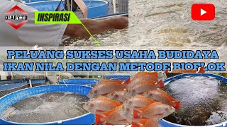 BUDIDAYA IKAN NILA BIOFLOK  Berawal dari 2 Buah Kolam  Sekarang Sudah Menjadi 20 Kolam [upl. by Rhee456]