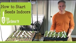 How I Start Seeds Indoors Tips amp Techniques [upl. by Eillim]