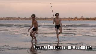 Noongar Culture in The Modern Era  Trailer [upl. by Eisej]