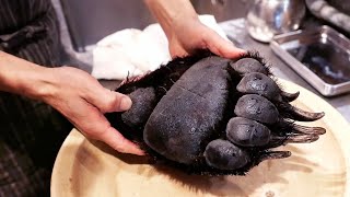 Japanese Food  GIANT BEAR PAW Tokyo Japan [upl. by Jews271]