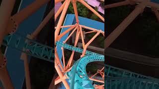 Forceful Launched Roller Coaster  Tempesto at Busch Gardens Williamsburg shorts [upl. by Stoddart]