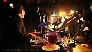 The Andreas Baer Trio Plus One  HMBoogie [upl. by Joli609]