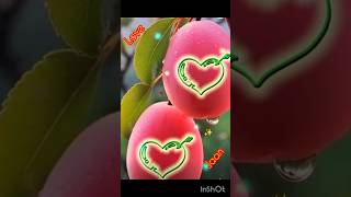 R💗R love name letter status 💙ll RR new love arts video💘shortsyoutubeshortstrendinglove☘️🌿♥ [upl. by Desdamona356]