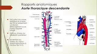 7  Aorte et Artère pulmonaire 4 [upl. by Notneuq98]