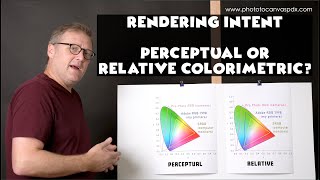 Relative Colorimetric or Perceptual Which Rendering Intent Should I Use [upl. by Rafe]