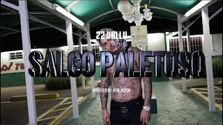 22VALLU  SALGO PALETOSO [upl. by Fraze]