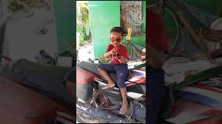 Bandhuk chale dhain dhainbestvideo funny bulletchallenge justchill youtubeshorts [upl. by Eedak]