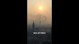 Facing the Flames NYC and NJ Wildfire Crisis [upl. by Reviel434]