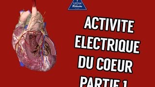 Physiologie Cardiaque  Activité électrique du coeur Part1 [upl. by Anaimad]