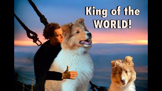 Shes KING of the WORLD 🚢 Biscuit Camping Adventure  Cricket the Sheltie Chronicles e028 [upl. by Val]