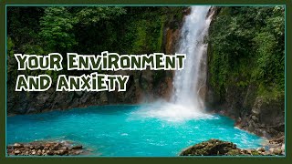 Your Environment and Anxiety [upl. by Swayder]