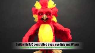 Professional animatronic parrot puppet [upl. by Nawuj]