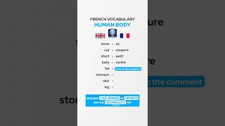 Human Body French Vocabulary 🇫🇷 [upl. by Richey173]