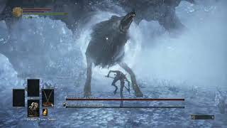 Dark Souls III  Champions Gravetender and Gravetender Greatwolf  No Hit [upl. by Oderfigis]