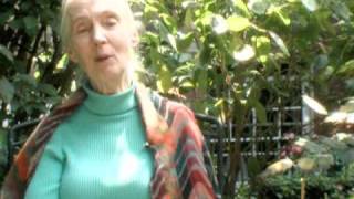 Hope for Animals and Their World jane Goodall [upl. by Tiffani]