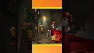 paw patrol rescue wheels 5 shorts [upl. by Thaxter]