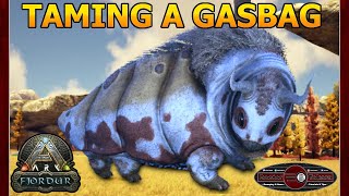 Taming A Gasbag  Ark Survival Evolved Fjordur  Episode 23 [upl. by Halyk]