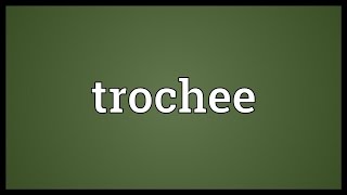 Trochee Meaning [upl. by Waldo518]